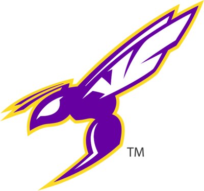 Hornet Hat Embrodiery